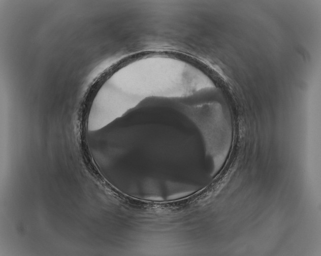 X0000113061311200909250900