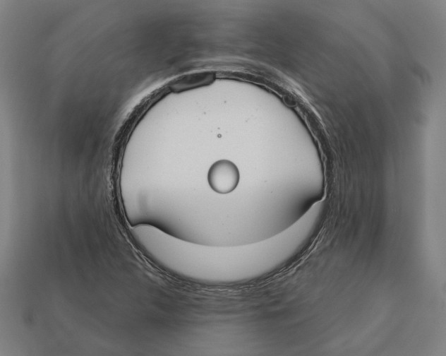 X0000113061312200909250900