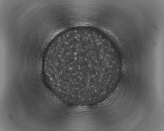 X0000113061313200909250900