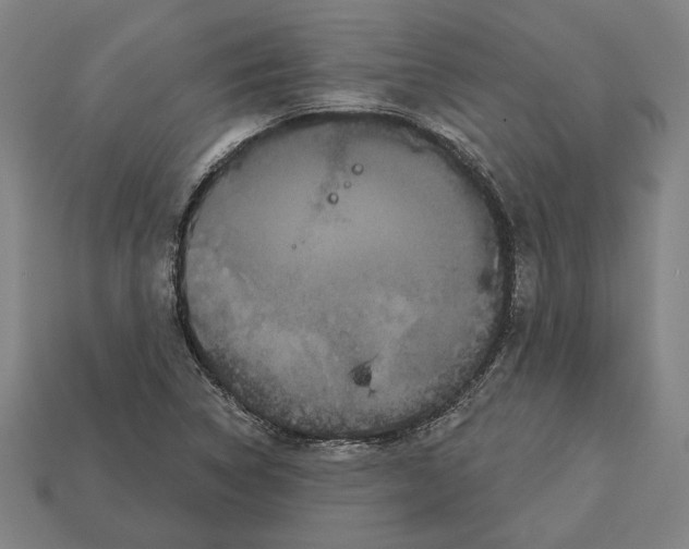 X0000113061314200909250900