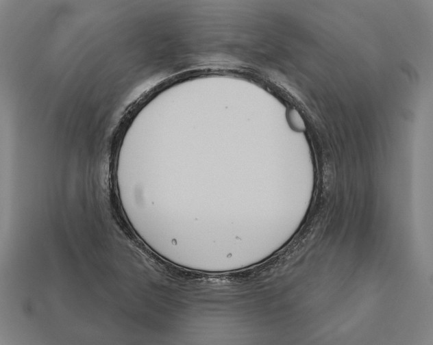 X0000113061315200909250900