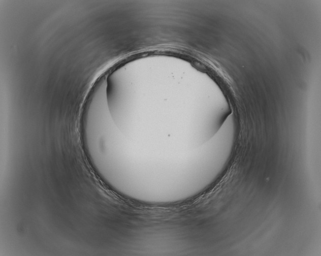 X0000113061316200909250900