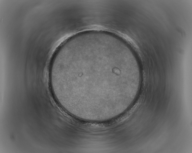 X0000113061318200909250900