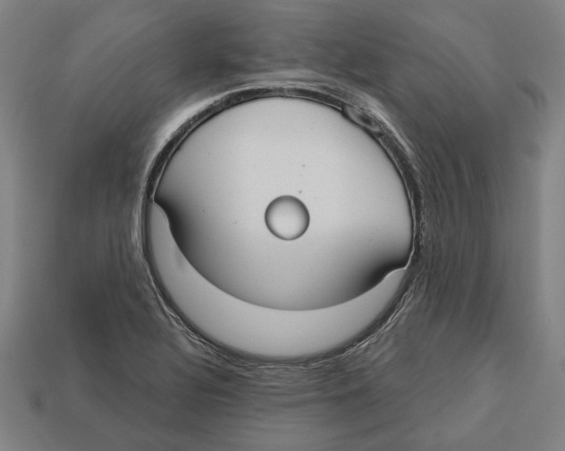 X0000113061320200909250900