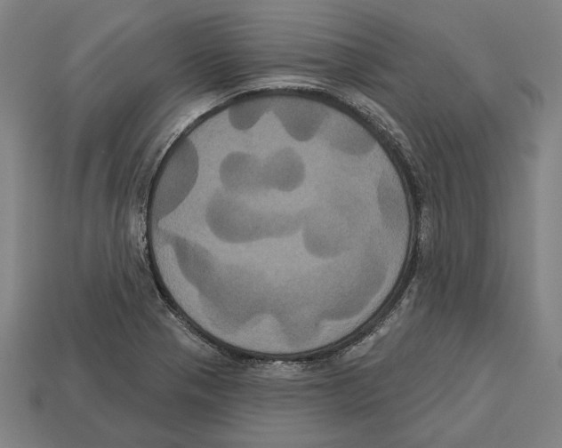 X0000113061321200909250900