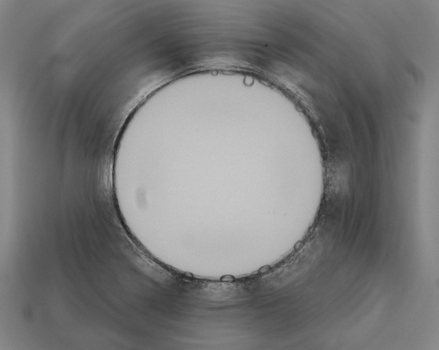 X0000113061322200909250900