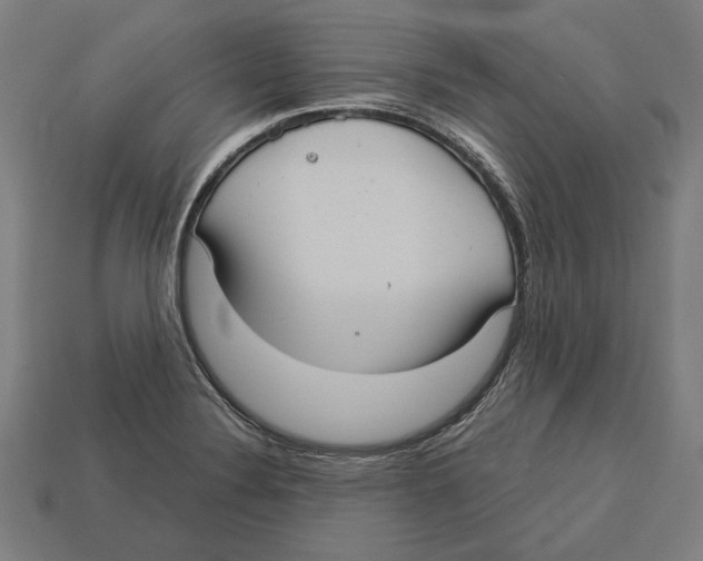 X0000113061324200909250900