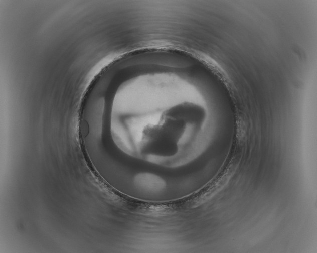 X0000113061326200909250900