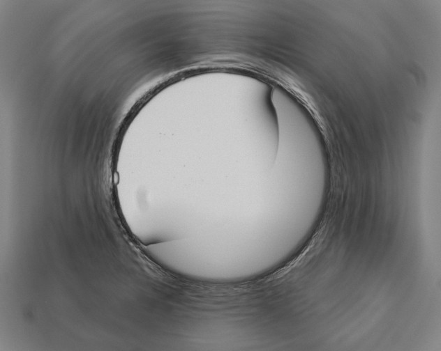 X0000113061328200909250900