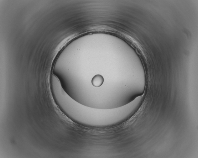 X0000113061330200909250900