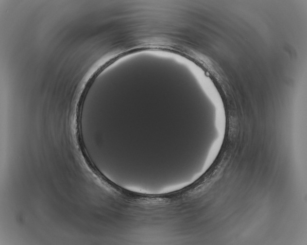 X0000113061331200909250900