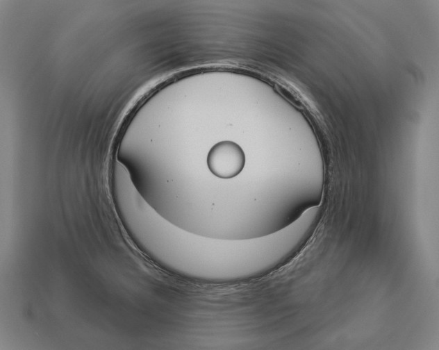 X0000113061332200909250900