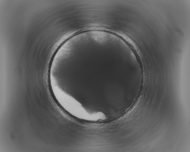 X0000113061333200909250900