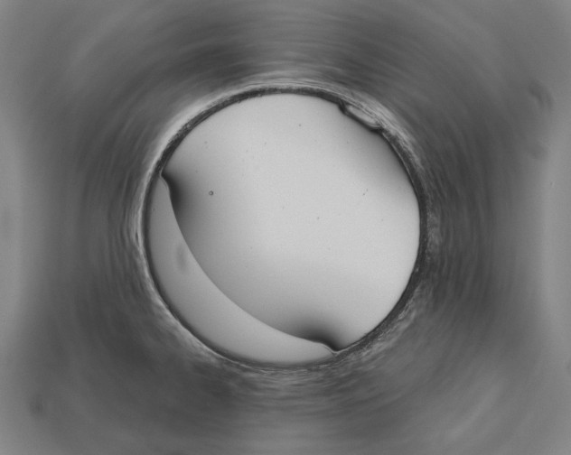 X0000113061334200909250900