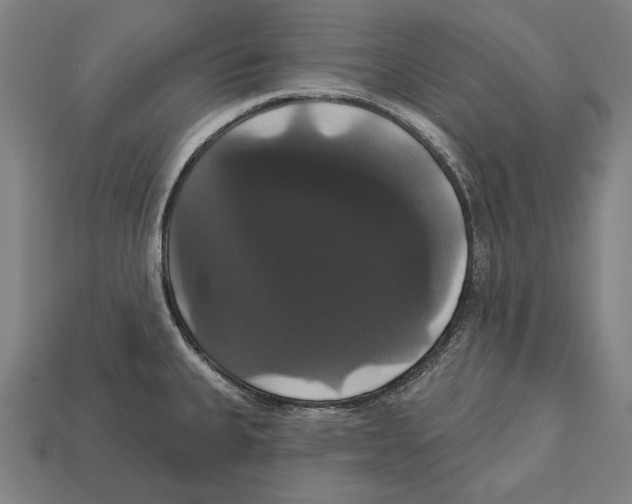 X0000113061335200909250900