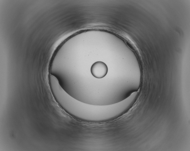 X0000113061336200909250900