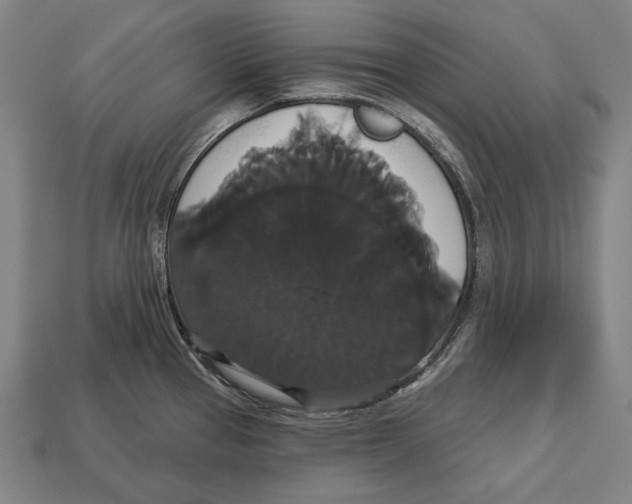 X0000113061337200909250900