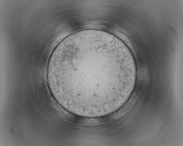 X0000113061338200909250900