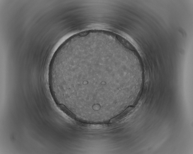 X0000113061339200909250900