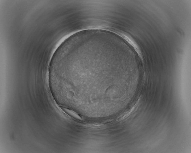 X0000113061340200909250900