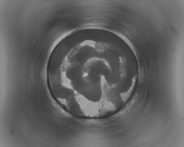 X0000113061341200909250900