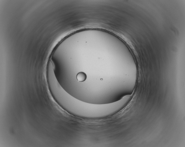 X0000113061342200909250900