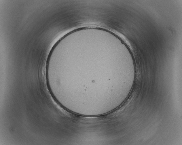 X0000113061343200909250900