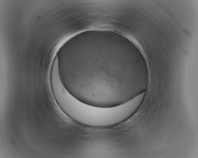 X0000113061344200909250901