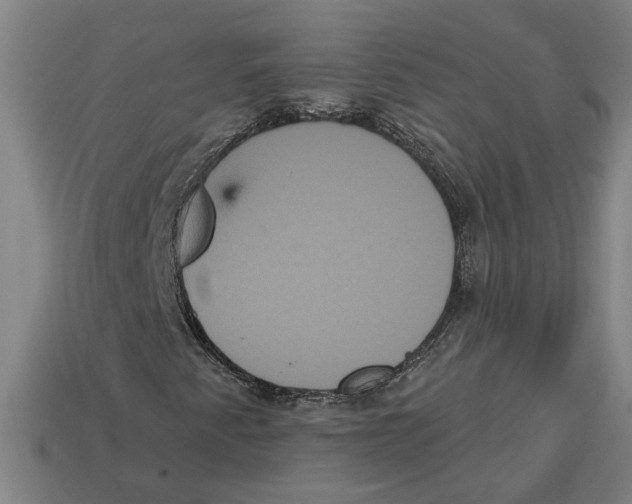 X0000113061345200909250900