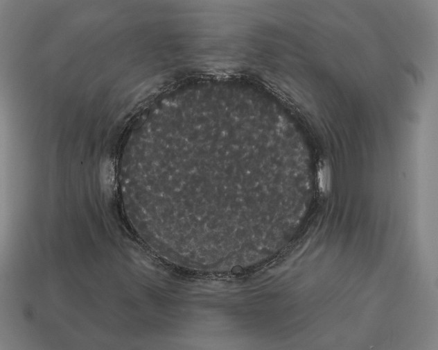 X0000113061347200909250900