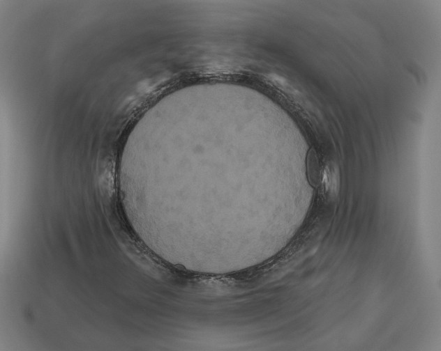 X0000113061348200909250900