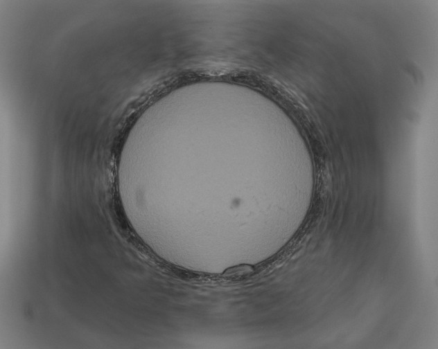 X0000113061349200909250900