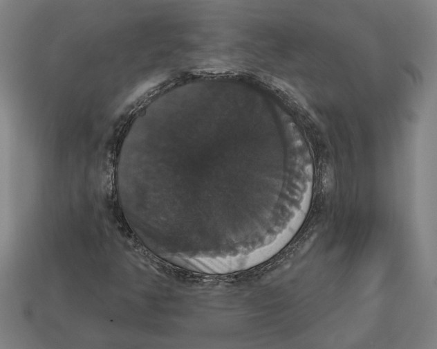 X0000113061350200909250900