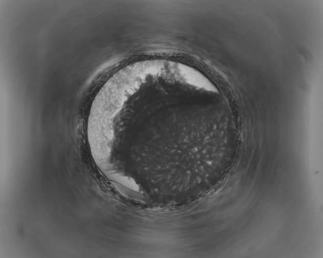 X0000113061351200909250900