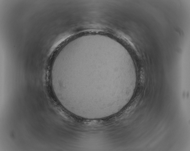 X0000113061352200909250900