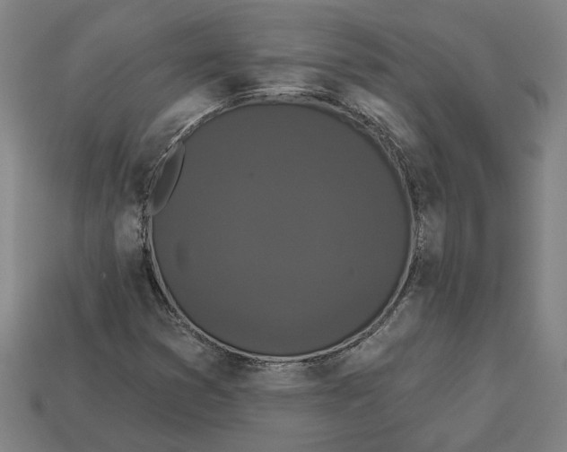 X0000113061353200909250900