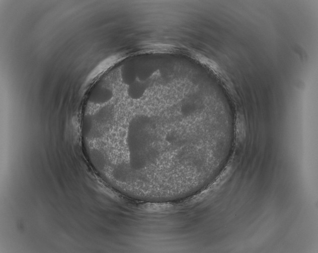 X0000113061354200909250900