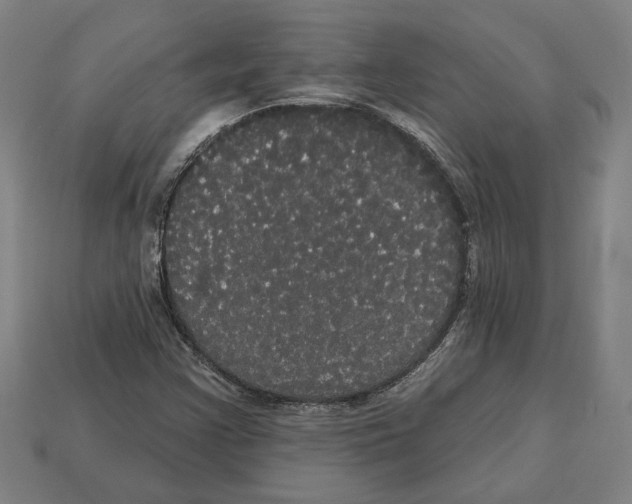 X0000113061355200909250900