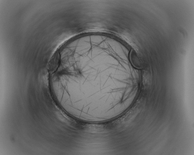 X0000113061356200909250900