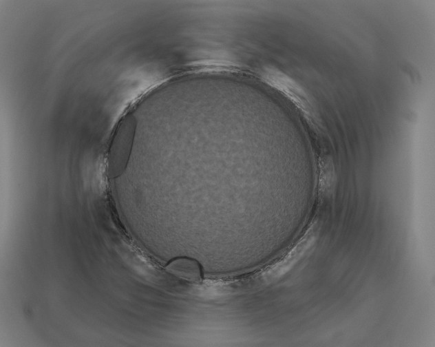 X0000113061357200909250900