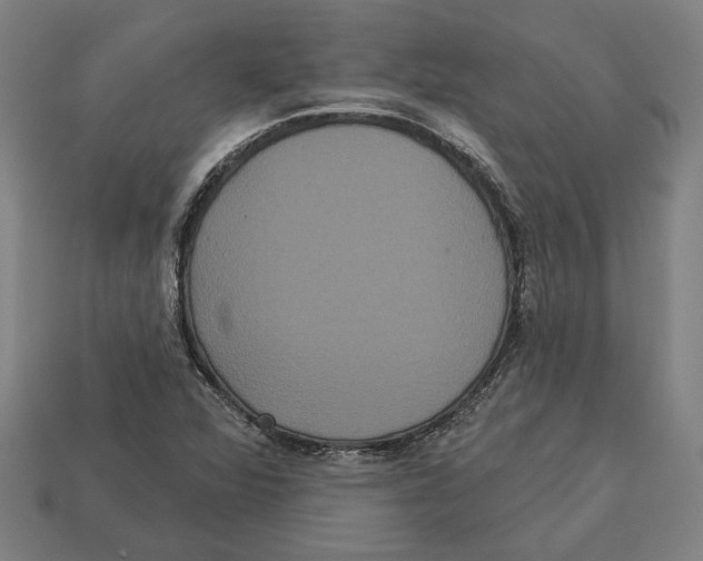 X0000113061360200909250900