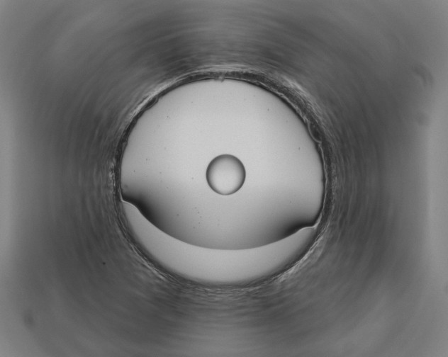 X0000113061361200909250900