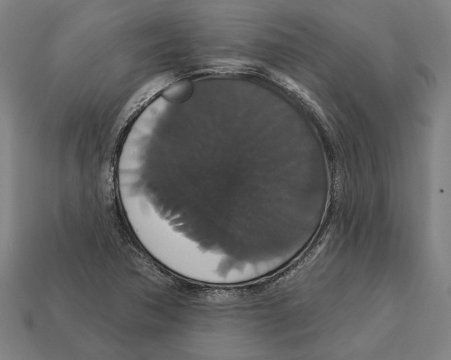 X0000113061362200909250900