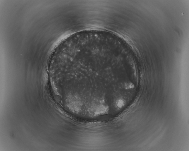 X0000113061363200909250900