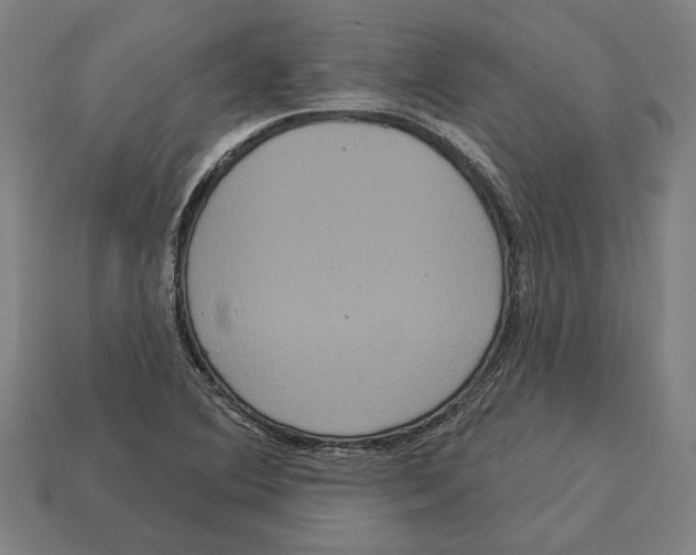 X0000113061364200909250900