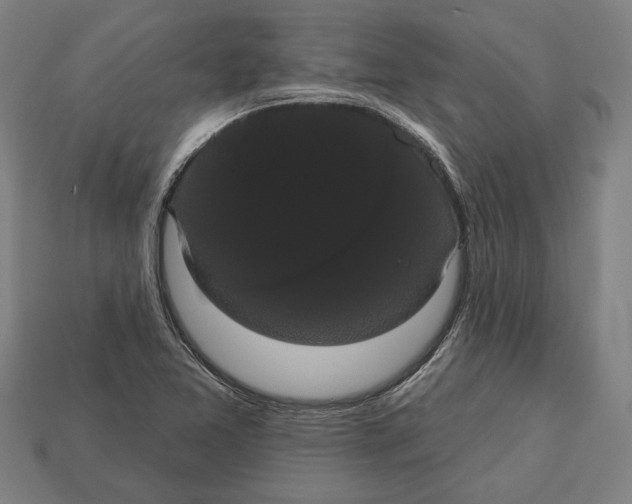 X0000113061365200909250900