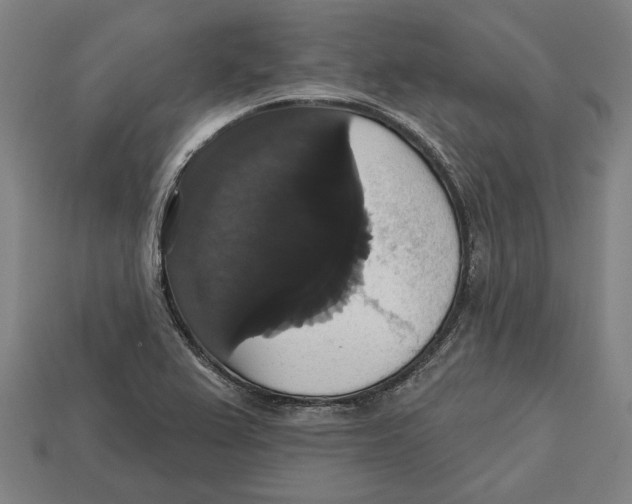 X0000113061367200909250900