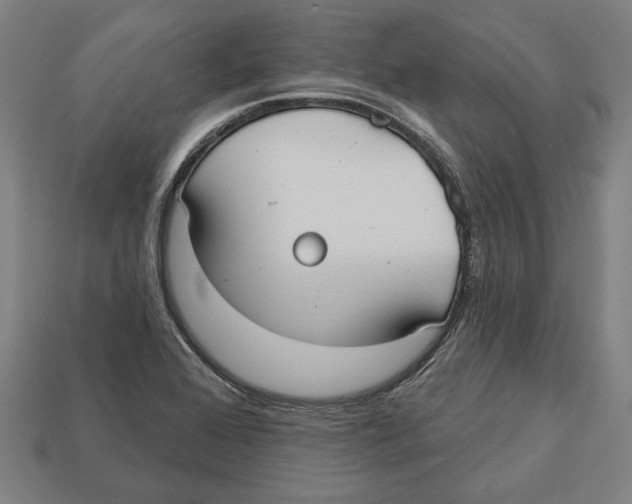 X0000113061368200909250900