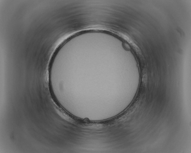 X0000113061372200909250859