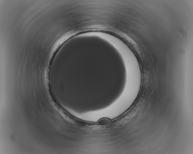 X0000113061373200909250859